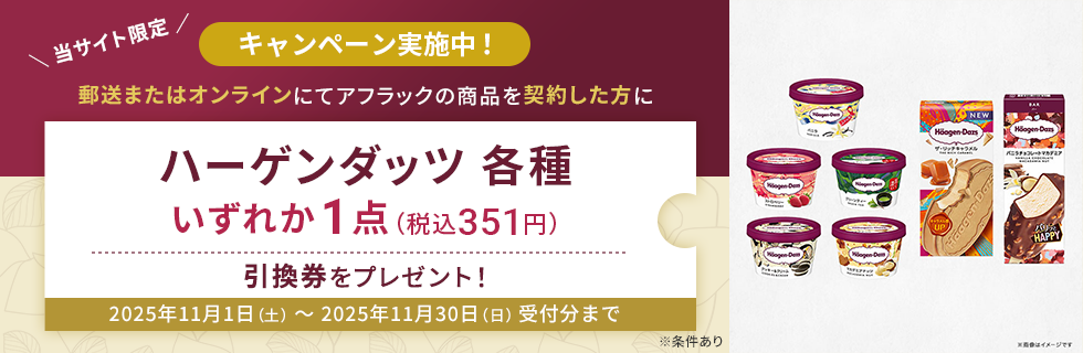 郵送またはオンラインにてアフラックの商品を契約した方にハーゲンダッツ各種いずれか1点（税込351円）引換券をプレゼント！
