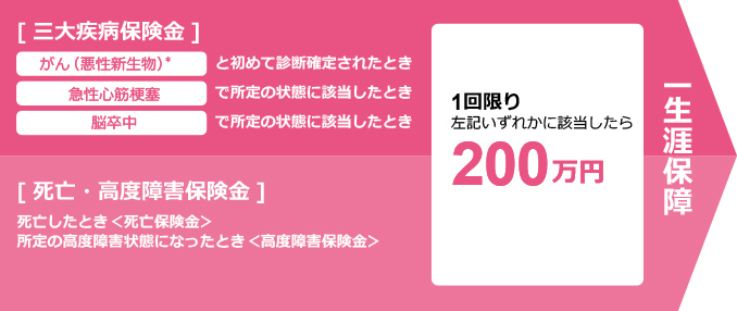 保険期間：終身 保険金額200万円の場合の保障内容