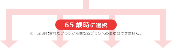 65歳時に選択